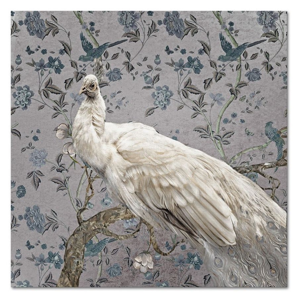 Obraz 60x60 biały paw - reprodukcja