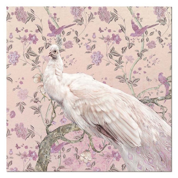 Obraz 60x60 biały paw na różowym tle