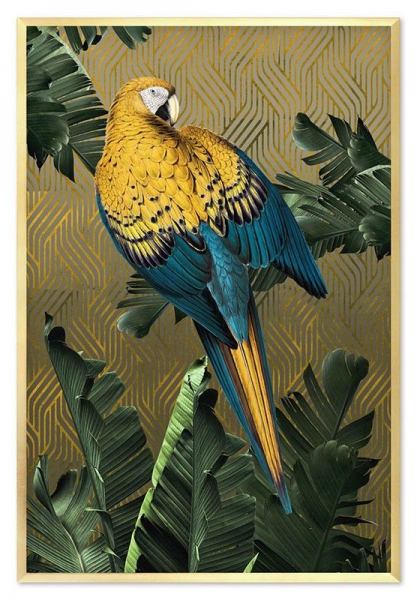 Złota papuga- grafika w ramach drukowana